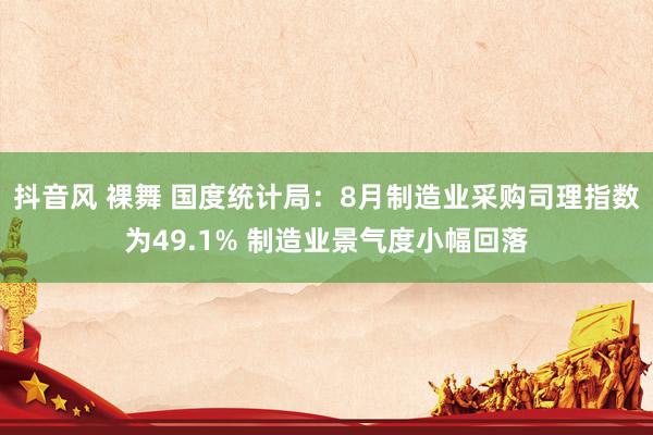 抖音风 裸舞 国度统计局：8月制造业采购司理指数为49.1% 制造业景气度小幅回落