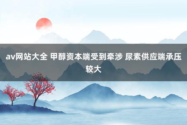 av网站大全 甲醇资本端受到牵涉 尿素供应端承压较大