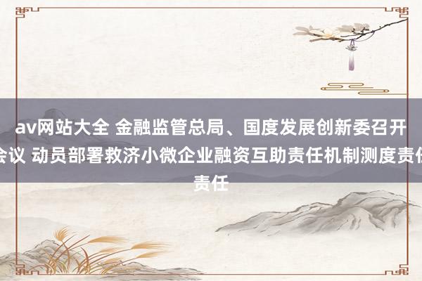 av网站大全 金融监管总局、国度发展创新委召开会议 动员部署救济小微企业融资互助责任机制测度责任