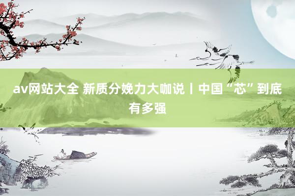 av网站大全 新质分娩力大咖说丨中国“芯”到底有多强