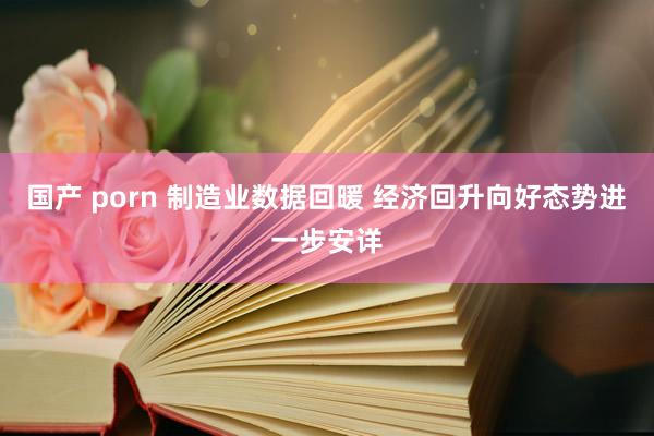 国产 porn 制造业数据回暖 经济回升向好态势进一步安详