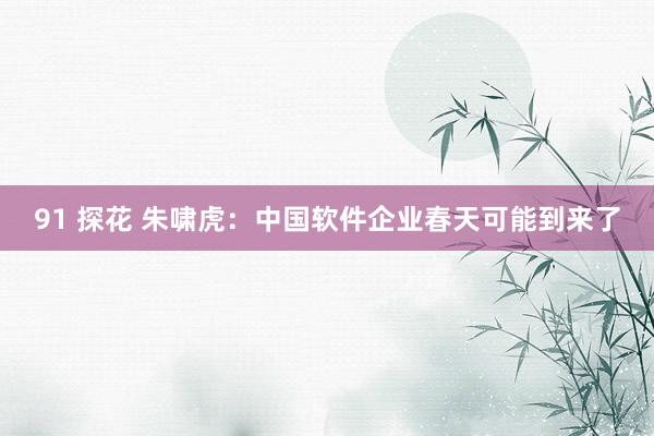 91 探花 朱啸虎：中国软件企业春天可能到来了